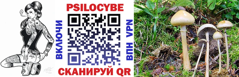 Галлюциногенные грибы GOLDEN TEACHER  дарнет шоп  Заволжье 